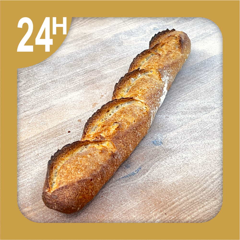 [TBD001Lset01] Baguette du Cinquantenaire - First Prize Winner
